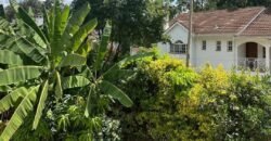 HOUSE FOR SALE IN LAVINGTON