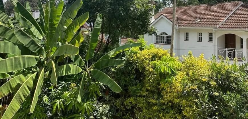 HOUSE FOR SALE IN LAVINGTON