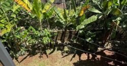 HOUSE FOR SALE IN LAVINGTON