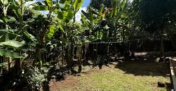 HOUSE FOR SALE IN LAVINGTON