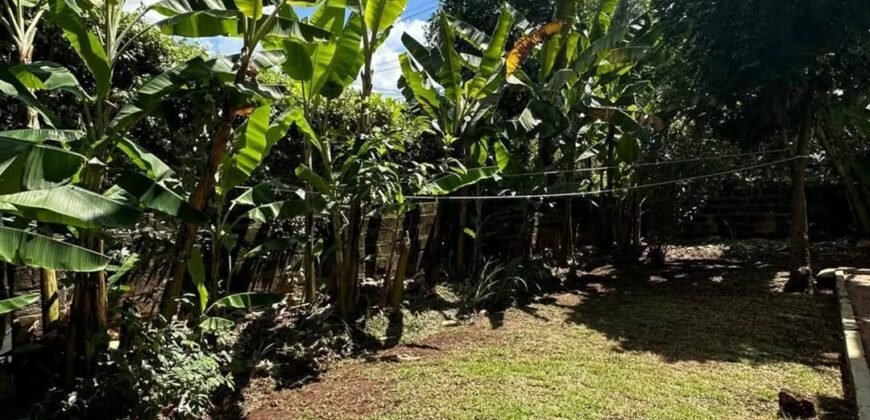 HOUSE FOR SALE IN LAVINGTON