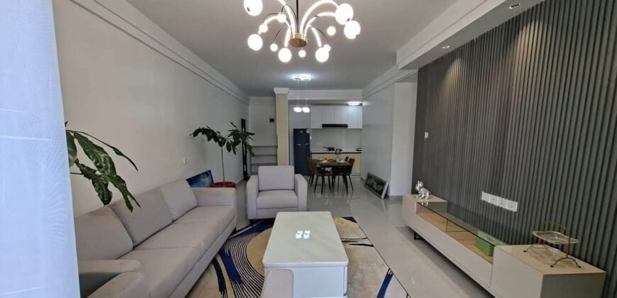 APARTMENT TO LET IN SYOKIMAU