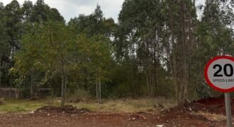 PLOT FOR SALE IN RUNDA