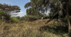 PLOT FOR SALE IN KAREN