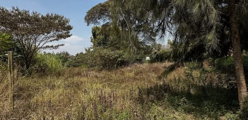 PLOT FOR SALE IN KAREN