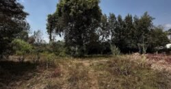 PLOT FOR SALE IN KAREN