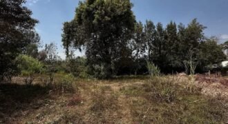 PLOT FOR SALE IN KAREN