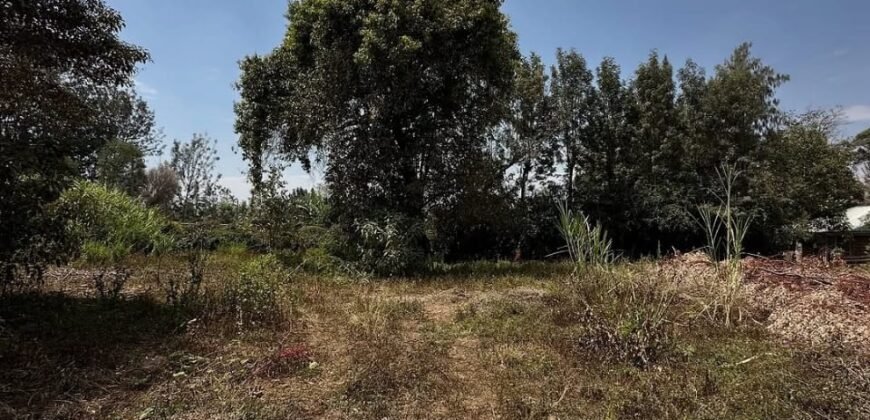 PLOT FOR SALE IN KAREN