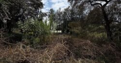 PLOT FOR SALE IN KAREN