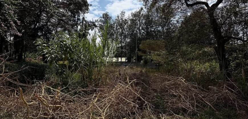 PLOT FOR SALE IN KAREN