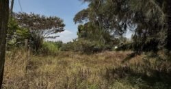 PLOT FOR SALE IN KAREN