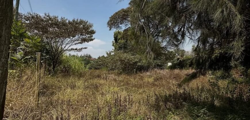 PLOT FOR SALE IN KAREN