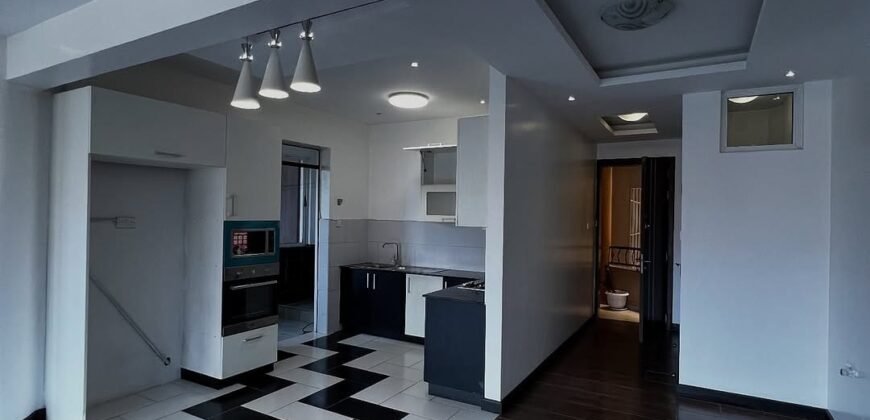 APARTMENT TO LET IN KILELESHWA