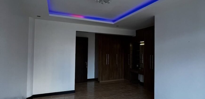 APARTMENT TO LET IN KILELESHWA