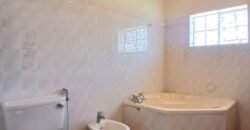 COMMERCIAL SPACE TO LET IN LAVINGTON