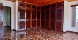 COMMERCIAL SPACE TO LET IN LAVINGTON