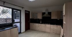 APARTMENT TO LET IN KILIMANI