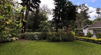 HOUSE TO LET IN LORESHO