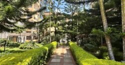 APARTMENT TO LET IN KILIMANI