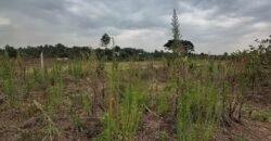PLOT FOR SALE IN KERARAPON