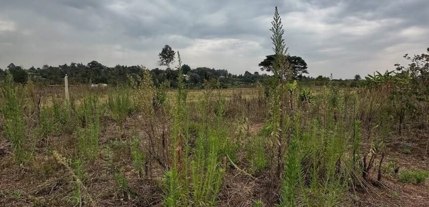 PLOT FOR SALE IN KERARAPON
