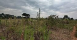 PLOT FOR SALE IN KERARAPON