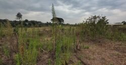 PLOT FOR SALE IN KERARAPON