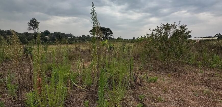 PLOT FOR SALE IN KERARAPON