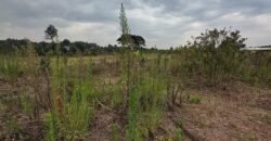 PLOT FOR SALE IN KERARAPON