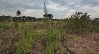 PLOT FOR SALE IN KERARAPON