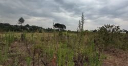 PLOT FOR SALE IN KERARAPON