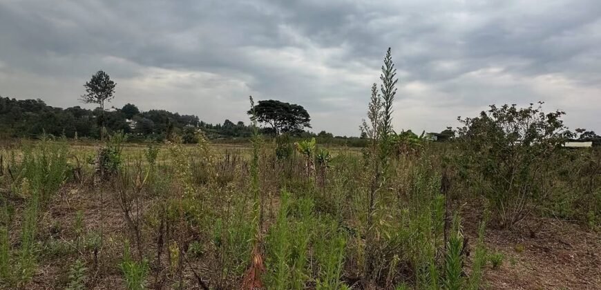 PLOT FOR SALE IN KERARAPON