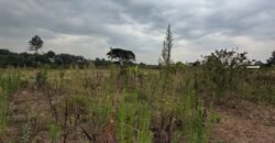 PLOT FOR SALE IN KERARAPON
