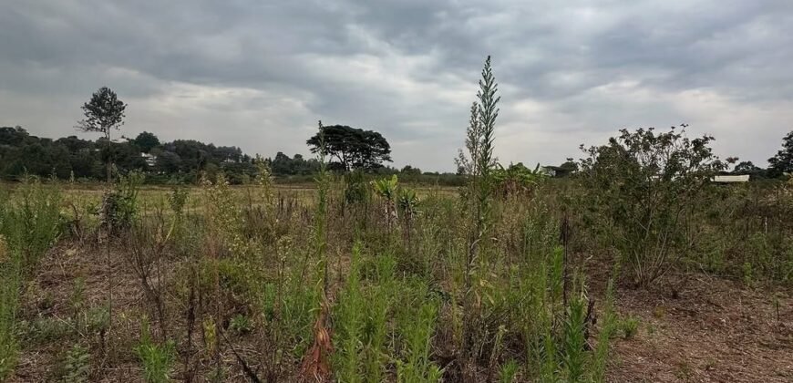 PLOT FOR SALE IN KERARAPON