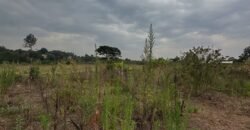 PLOT FOR SALE IN KERARAPON