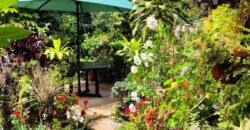 TOWNHOUSE FOR SALE IN LAVINGTON