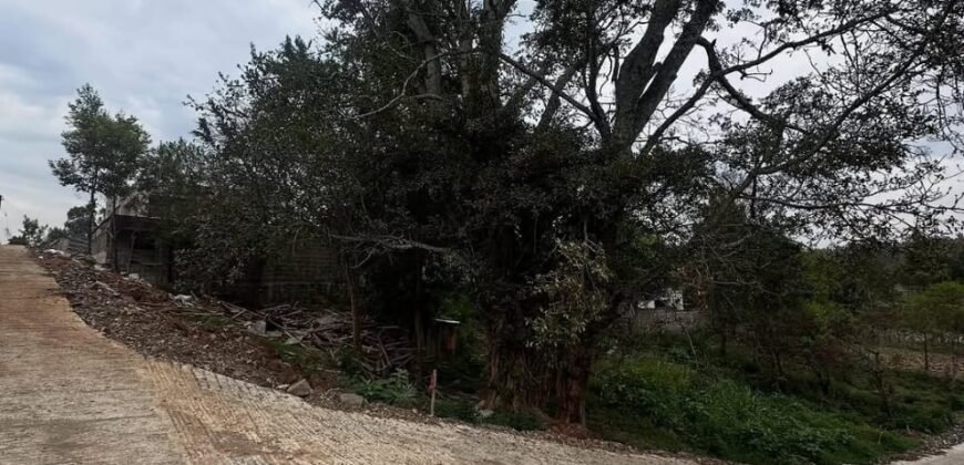 PLOT FOR SALE IN KERARAPON