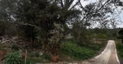 PLOT FOR SALE IN KERARAPON