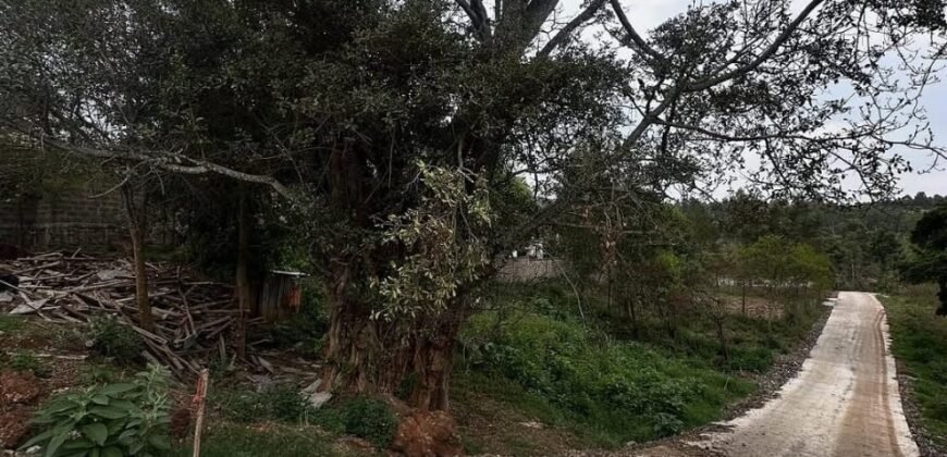 PLOT FOR SALE IN KERARAPON