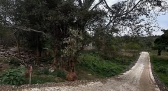 PLOT FOR SALE IN KERARAPON