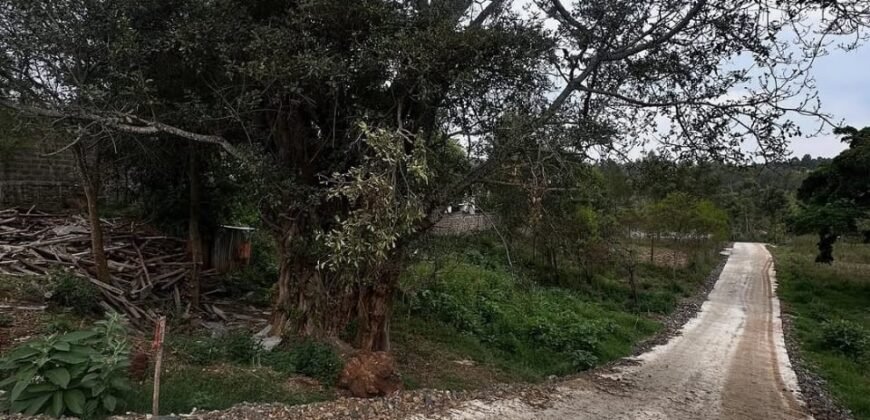 PLOT FOR SALE IN KERARAPON