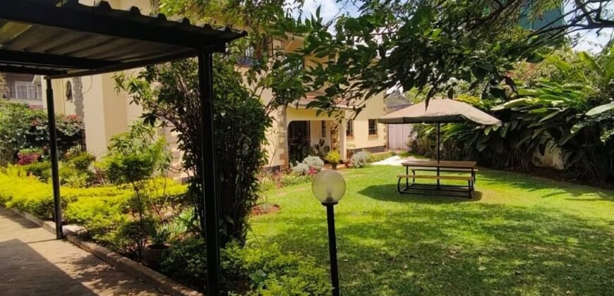 HOUSE TO LET IN LAVINGTON