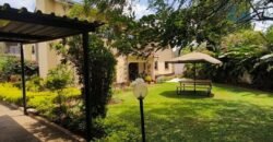 HOUSE TO LET IN LAVINGTON